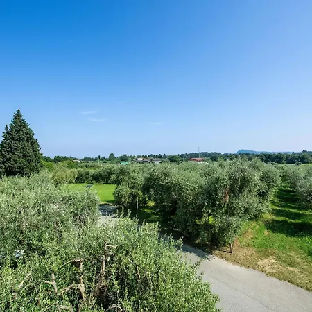 E Vigne Appartement