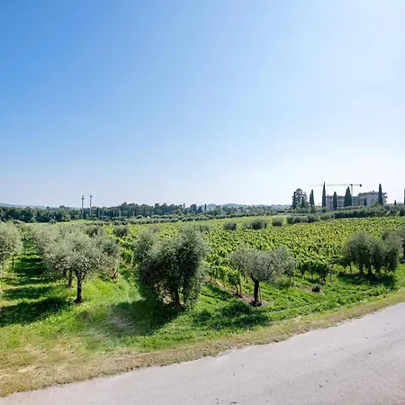 E Vigne Apartment
